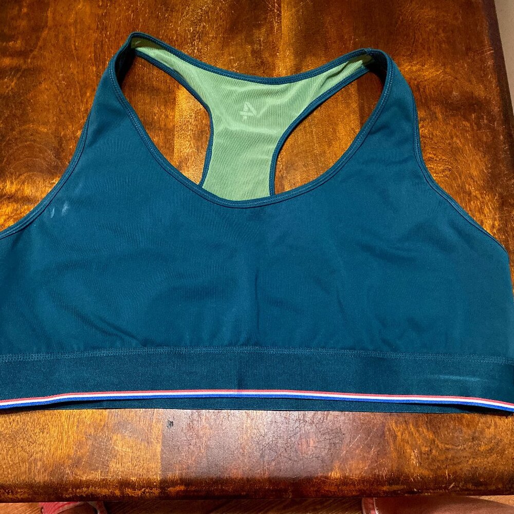 Four Laps Sports Bra